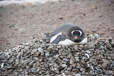 《Dawnmaker》登陆Steam 卡牌构建城镇建设